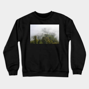 Forest & Fog Crewneck Sweatshirt